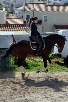 /album/fenykepgaleria/large-27-jpg/